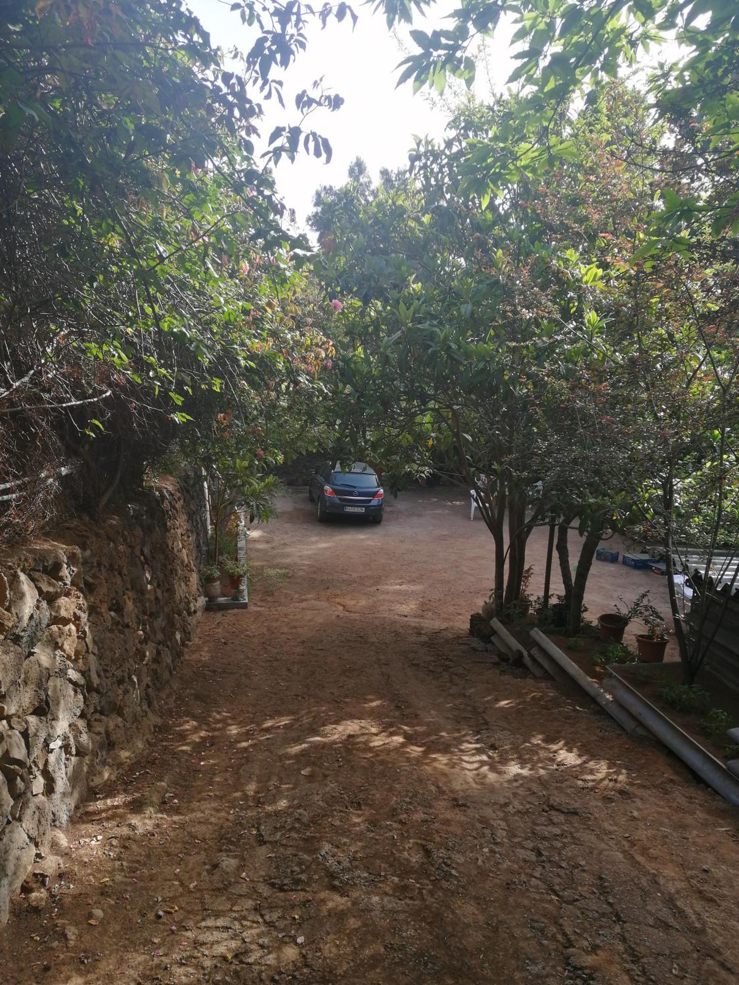 Casa Ecologica, Autosuficiente En Lomo Blanco, Dentro De Una Casa Rodeada De Naturaleza San Juan de la Rambla Esterno foto